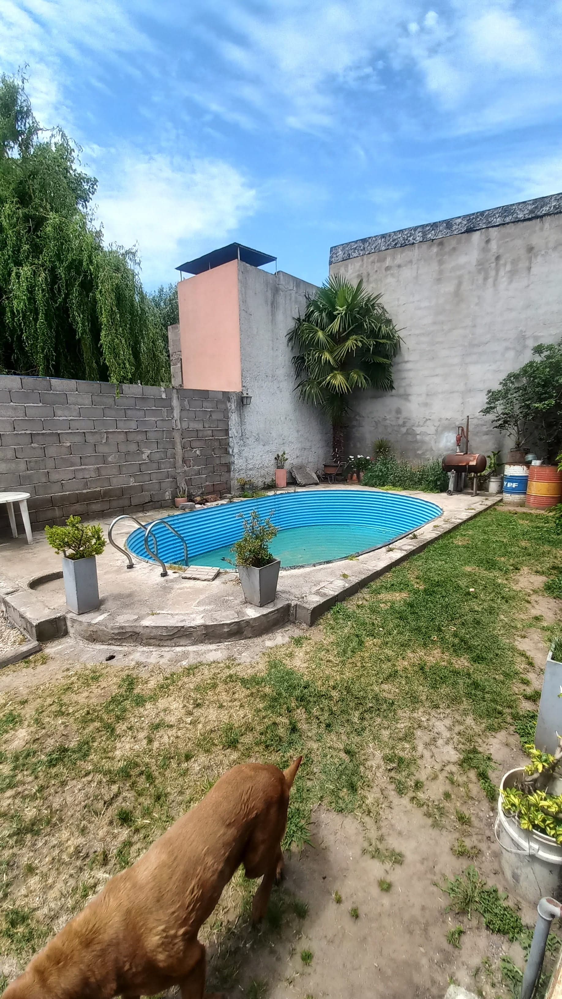 Casa con 2 dormitorios, pileta de natación, y garage pasante.   - 8