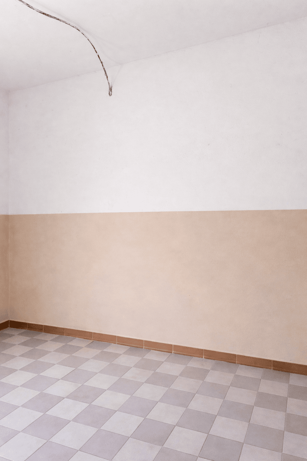 Casa 2 dormitorios con amplio lote.  - 4