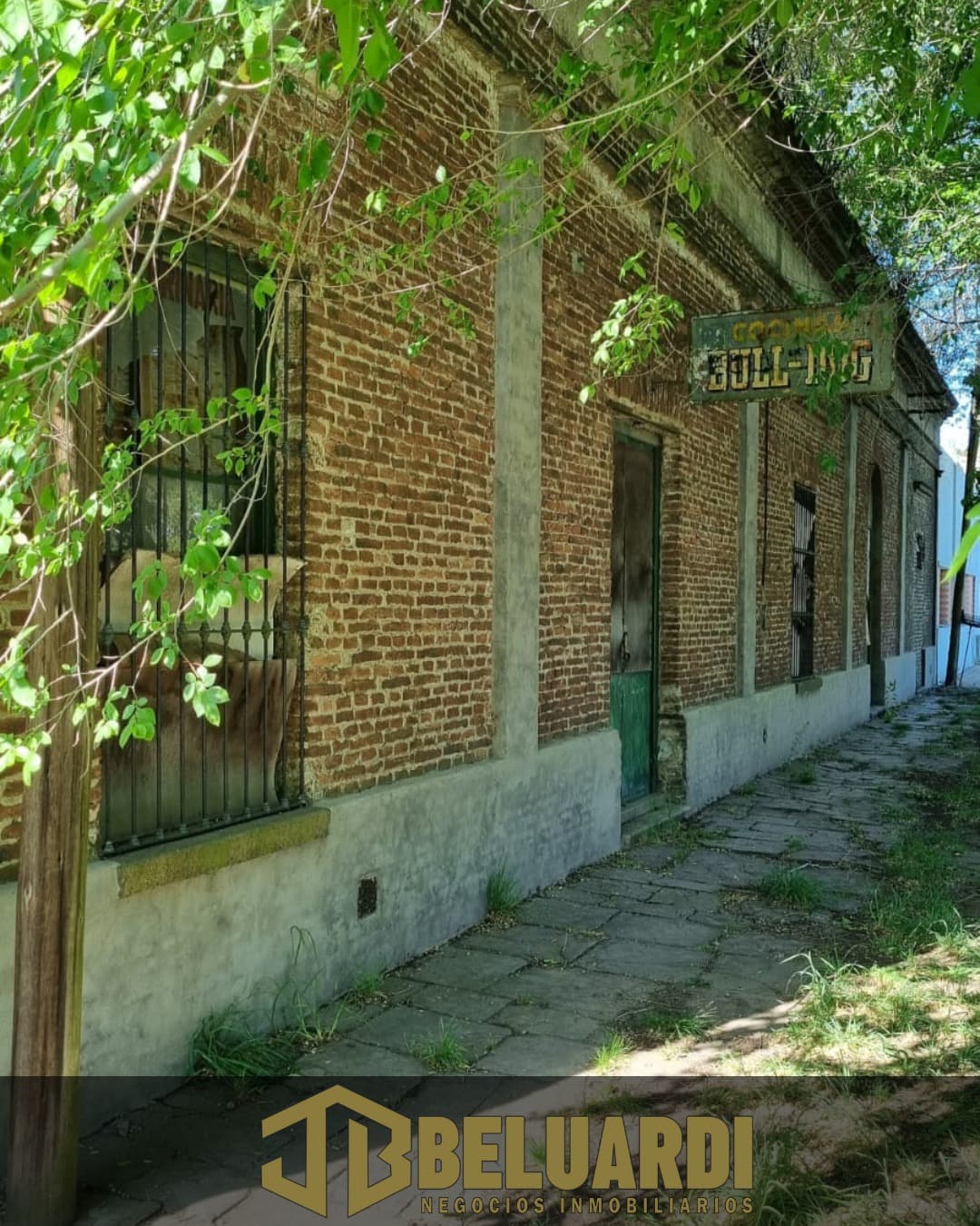 Casa histórica en Hinojo, ideal para desarrollo inmobiliario - 3