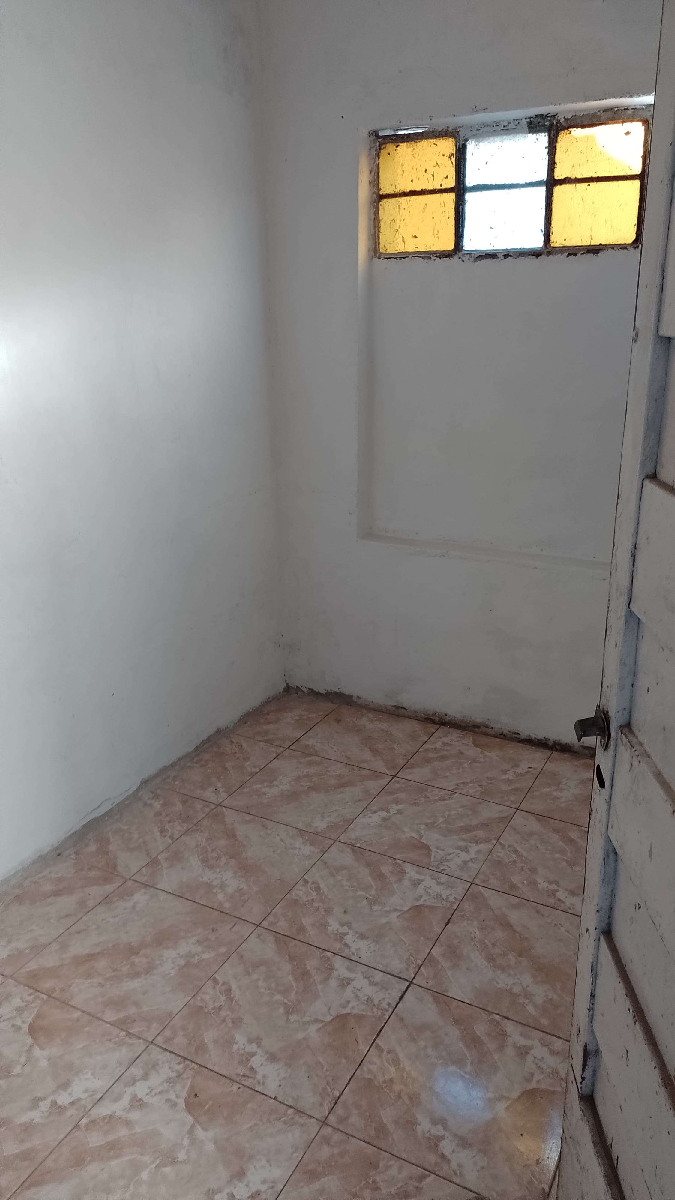 Casa 2 dormitorios con amplio lote.  - 6